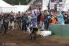 <A name="cairolilierop09">La consécration de Cairoli<A/>