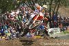 Antonio Cairoli, irrésistible à Bastogne