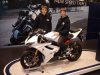 Les frères Wigley rouleront en Trophée Pirelli sur des...Triumph.