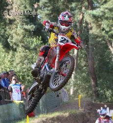 <A name="desalle09">Desalle trop brouillon</A>