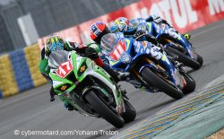 De beaux bastons en "challenger"