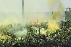 Public acquis à Valentino Rossi