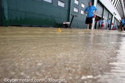 Canard en plastique