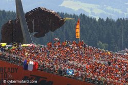 Un taureau nommé : Red Bull