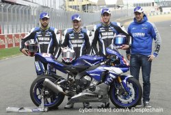Yamaha Viltaïs N°333, pourquoi pas ?