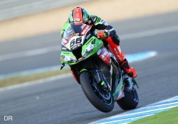 Tom Sykes ramène un nouveau titre à Kawasaki après 20 ans d'abstinence !